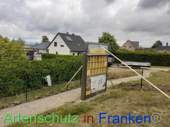 © Artenschutz in Franken® Bild zum Eintrag (1071505-160)