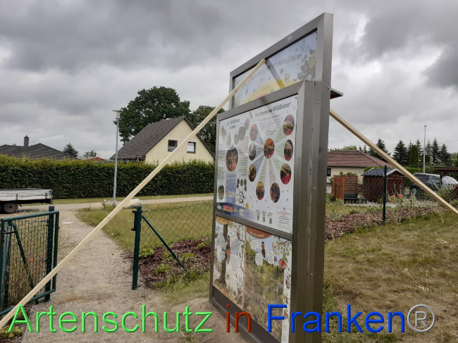 Bild zum Eintrag (1071507-160)