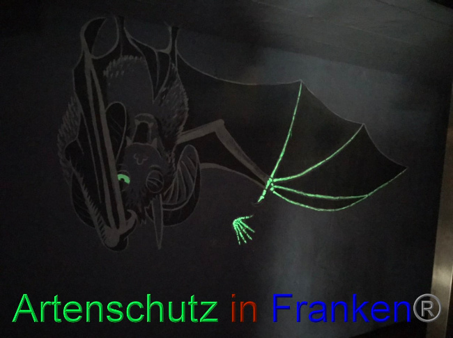 © Artenschutz in Franken® Bild zum Eintrag (1071611-160)