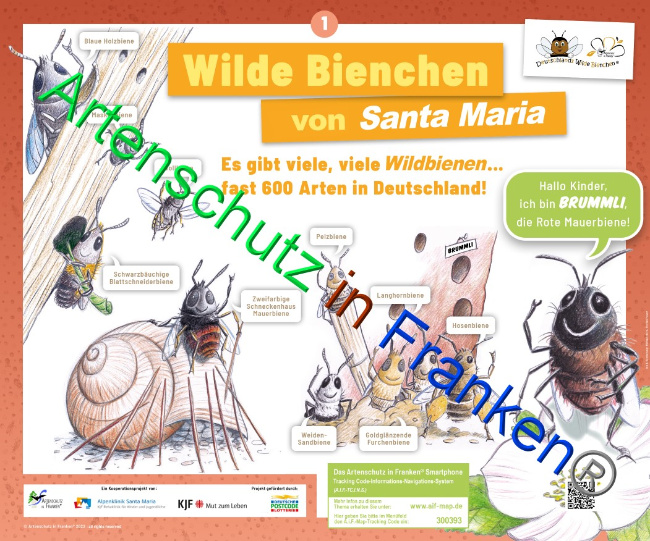 © Artenschutz in Franken® Bild zum Eintrag (1071644-160)