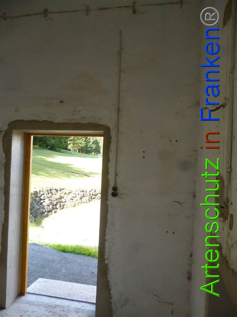© Artenschutz in Franken® Bild zum Eintrag (1071658-160)