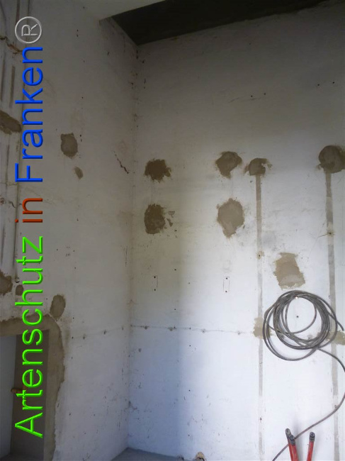 © Artenschutz in Franken® Bild zum Eintrag (1071659-160)
