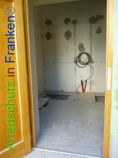 © Artenschutz in Franken® Bild zum Eintrag (1071660-160)