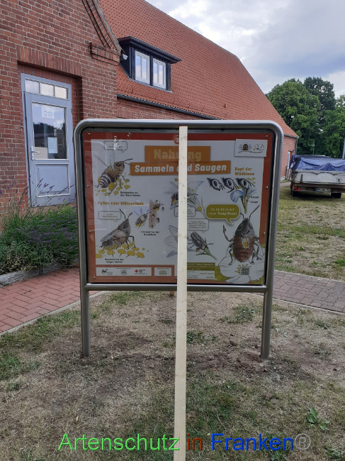 © Artenschutz in Franken® Bild zum Eintrag (1071669-160)