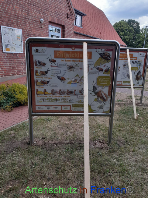 © Artenschutz in Franken® Bild zum Eintrag (1071672-160)