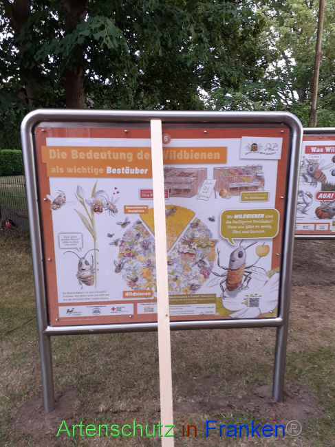 © Artenschutz in Franken® Bild zum Eintrag (1071673-160)