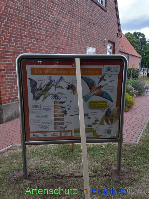 Bild zum Eintrag (1071675-160)