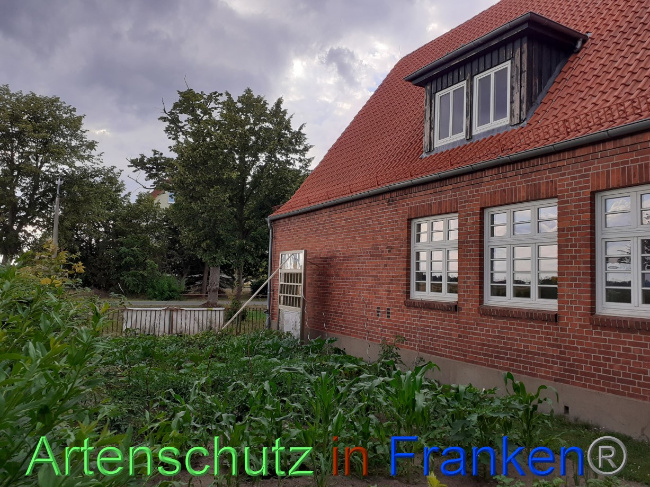 © Artenschutz in Franken® Bild zum Eintrag (1071679-160)