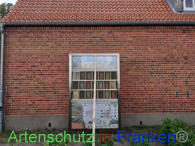 © Artenschutz in Franken® Bild zum Eintrag (1071680-160)