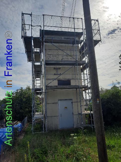 © Artenschutz in Franken® Bild zum Eintrag (1071865-160)