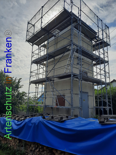 © Artenschutz in Franken® Bild zum Eintrag (1071866-160)
