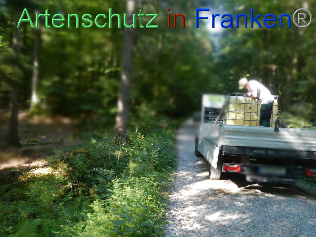 © Artenschutz in Franken® Bild zum Eintrag (1072049-160)