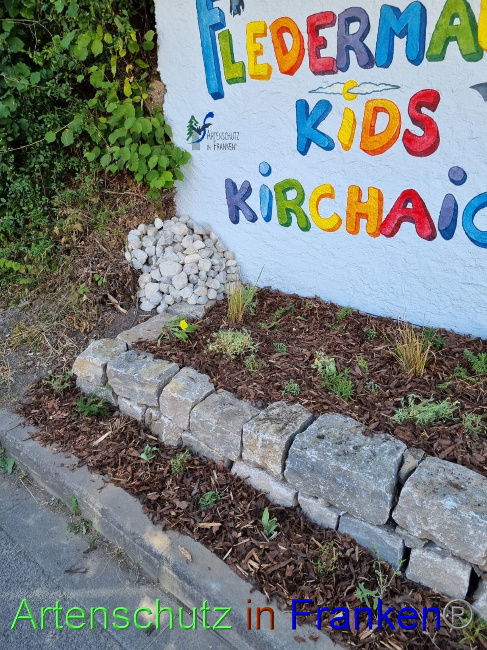 © Artenschutz in Franken® Bild zum Eintrag (1072204-160)