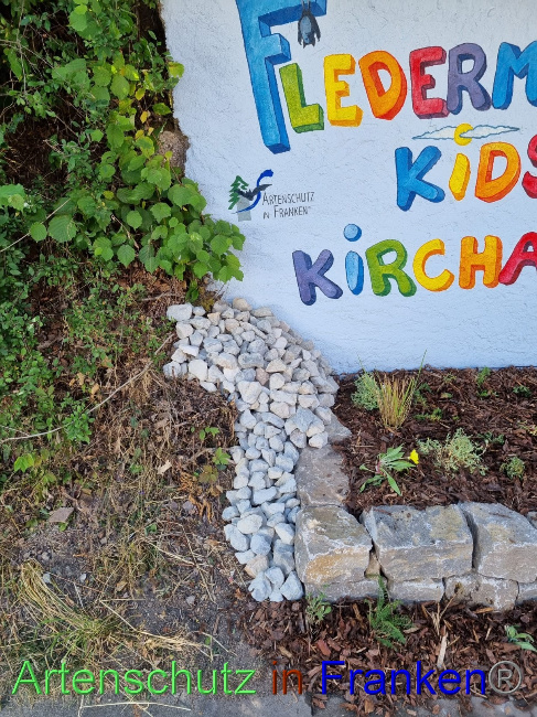 © Artenschutz in Franken® Bild zum Eintrag (1072208-160)