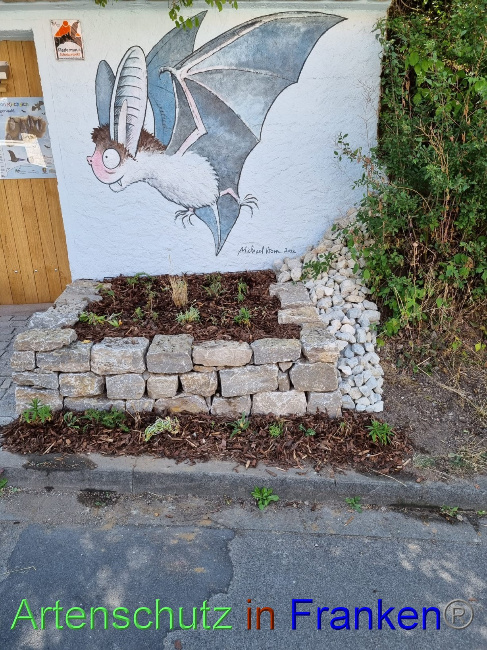 © Artenschutz in Franken® Bild zum Eintrag (1072209-160)