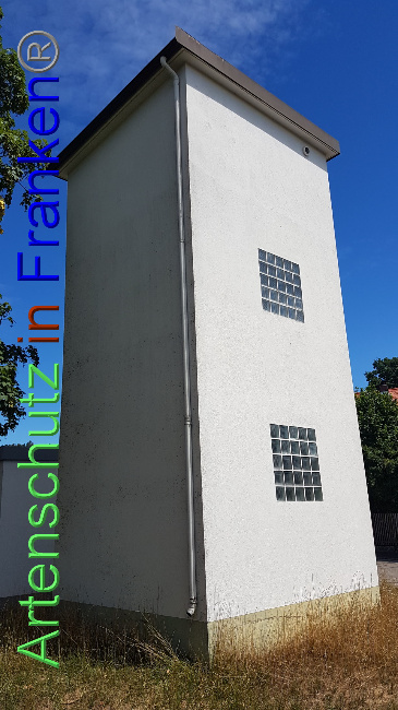 © Artenschutz in Franken® / Stadt Lauf a.d. Pegnitz Bild zum Eintrag (1072240-160)