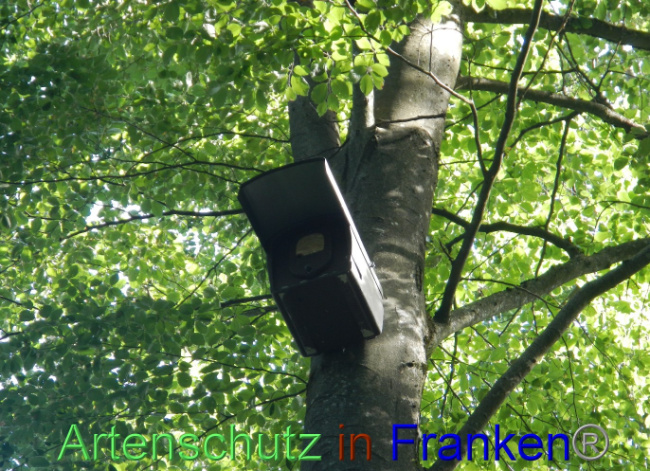 © Artenschutz in Franken® Bild zum Eintrag (1072323-160)