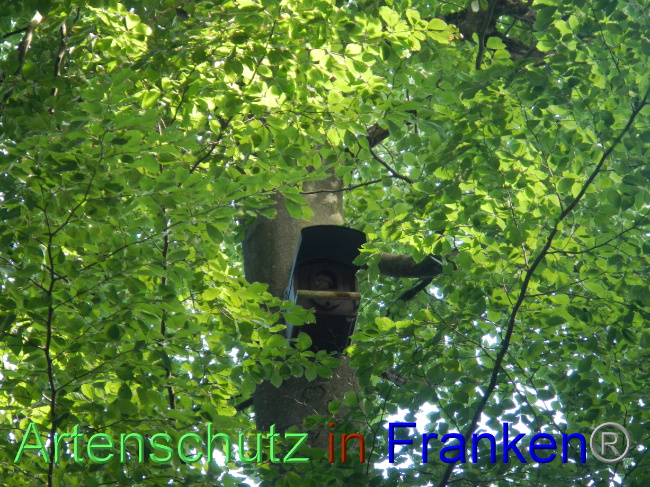 Bild zum Eintrag (1072329-160)