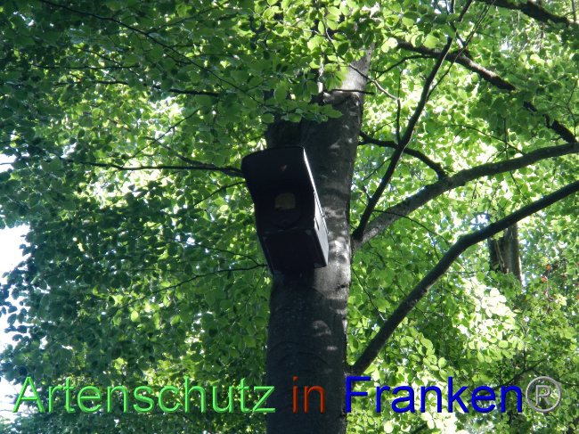 © Artenschutz in Franken® Bild zum Eintrag (1072332-160)
