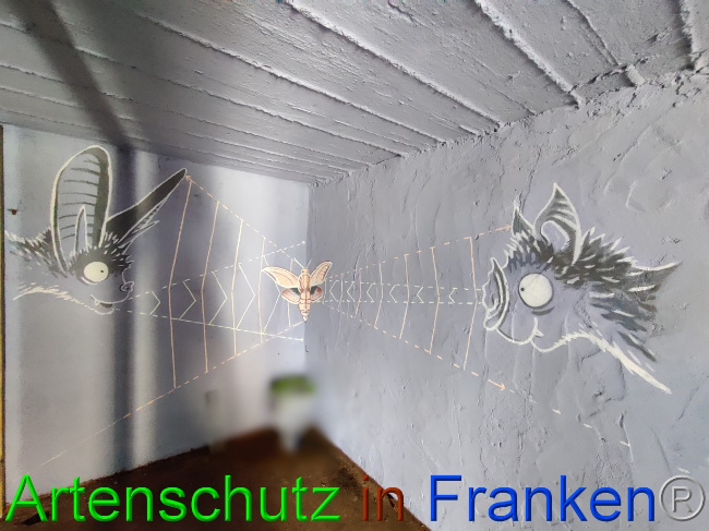 © Artenschutz in Franken® / Bayer Bild zum Eintrag (1072486-160)