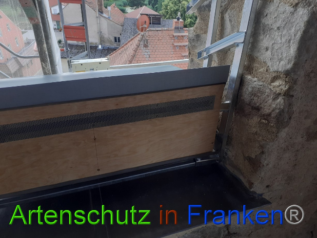 © Artenschutz in Franken® Bild zum Eintrag (1073136-160)