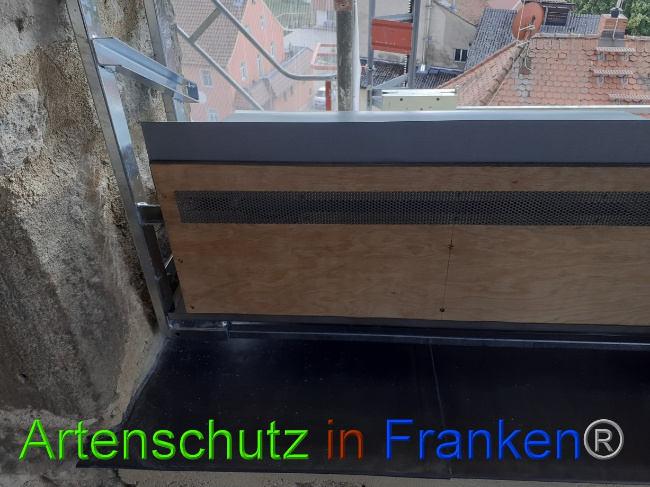 © Artenschutz in Franken® Bild zum Eintrag (1073137-160)