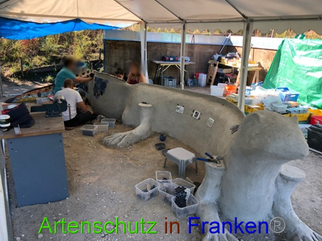 © Artenschutz in Franken® Bild zum Eintrag (1073165-160)