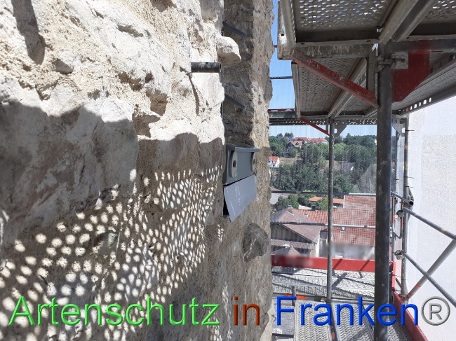 © Artenschutz in Franken® Bild zum Eintrag (1073251-160)