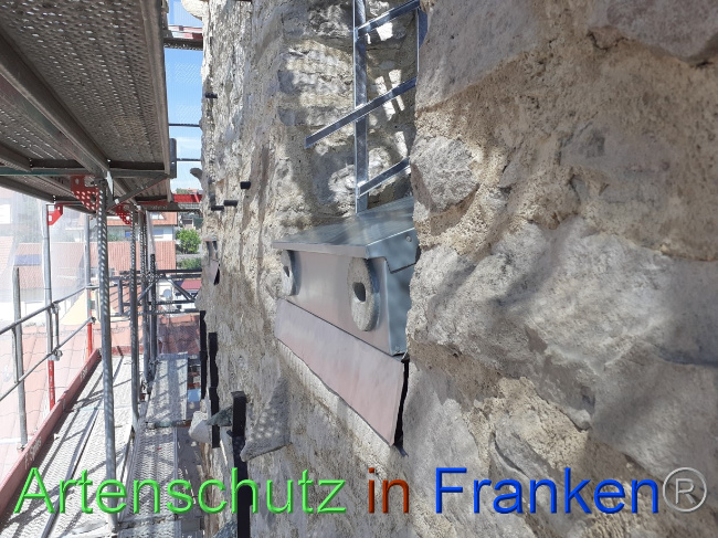 © Artenschutz in Franken® Bild zum Eintrag (1073252-160)