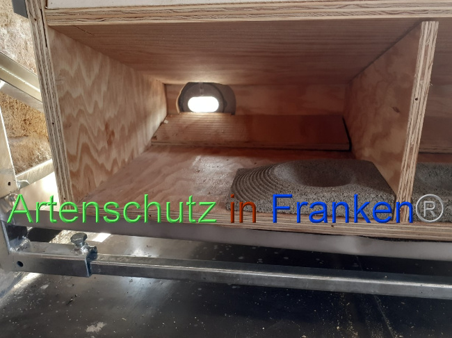 © Artenschutz in Franken® Bild zum Eintrag (1073255-160)