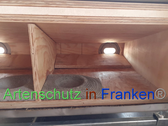 © Artenschutz in Franken® Bild zum Eintrag (1073258-160)