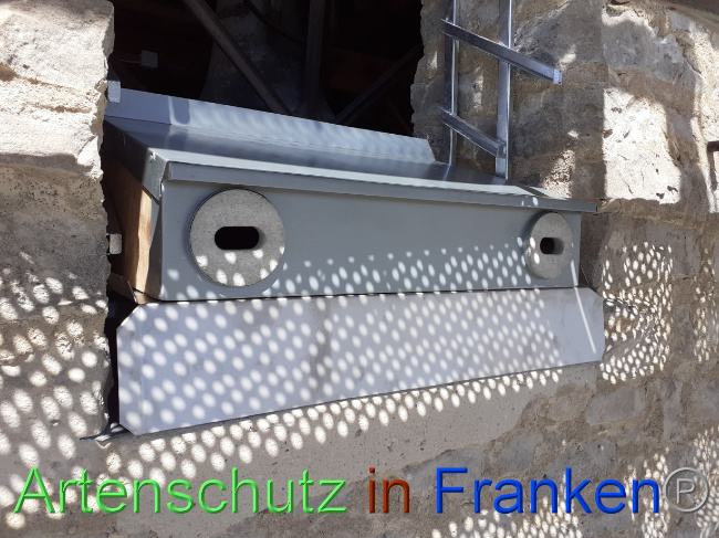 © Artenschutz in Franken® Bild zum Eintrag (1073262-160)