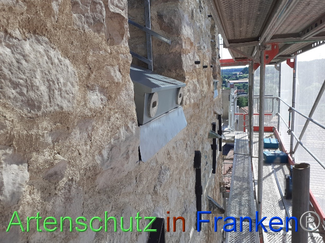 © Artenschutz in Franken® Bild zum Eintrag (1073263-160)