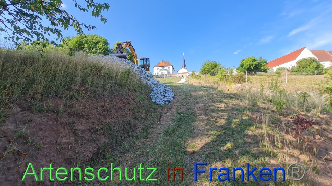 Bild zum Eintrag (1073326-160)