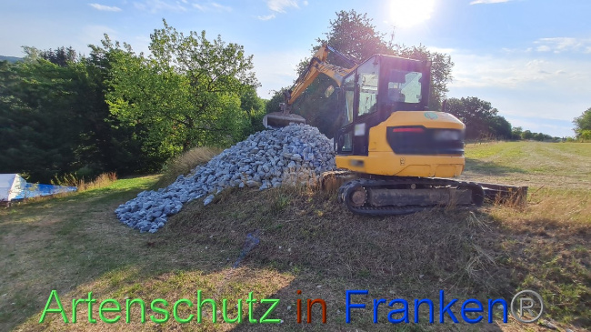 © Artenschutz in Franken® Bild zum Eintrag (1073331-160)