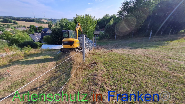 © Artenschutz in Franken® Bild zum Eintrag (1073332-160)