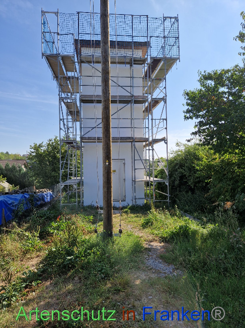 © Artenschutz in Franken® Bild zum Eintrag (1073339-160)