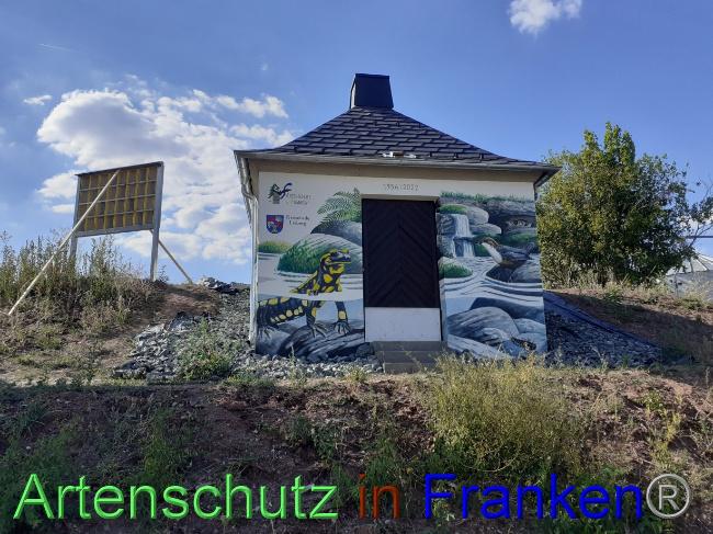 © Artenschutz in Franken® Bild zum Eintrag (1073504-160)