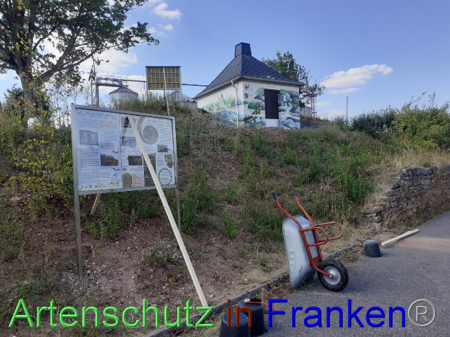 © Artenschutz in Franken® Bild zum Eintrag (1073507-160)
