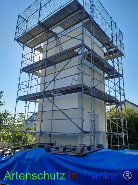 © Artenschutz in Franken® / Gemeinde Gemmingen Bild zum Eintrag (1073601-160)