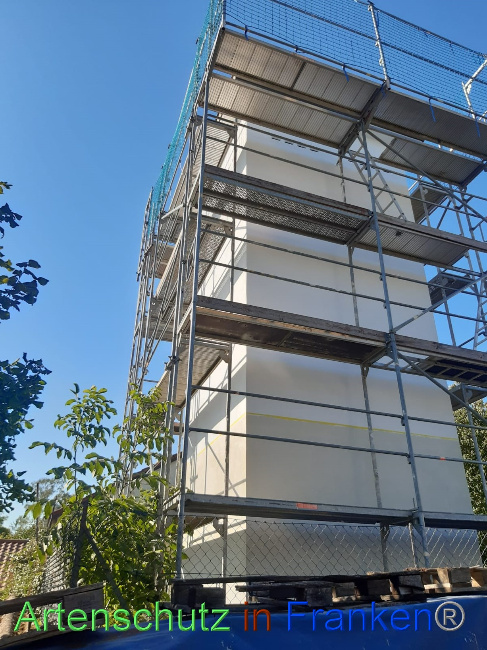 © Artenschutz in Franken® / Gemeinde Gemmingen Bild zum Eintrag (1073604-160)