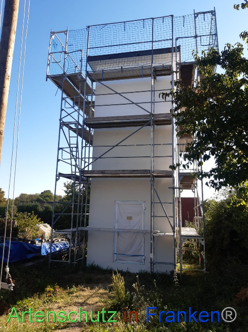 © Artenschutz in Franken® / Gemeinde Gemmingen Bild zum Eintrag (1073605-160)