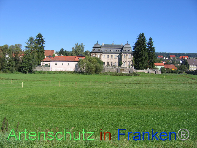© Artenschutz in Franken® Bild zum Eintrag (1073645-160)