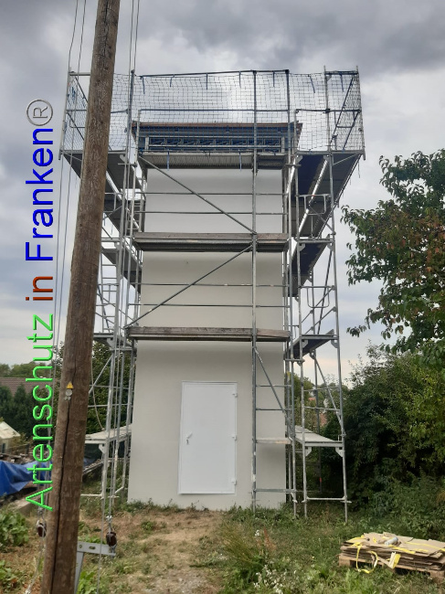 © Artenschutz in Franken® / Gemeinde Gemmingen Bild zum Eintrag (1074029-160)