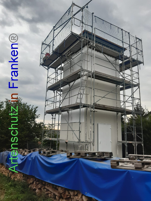 © Artenschutz in Franken® / Gemeinde Gemmingen Bild zum Eintrag (1074030-160)