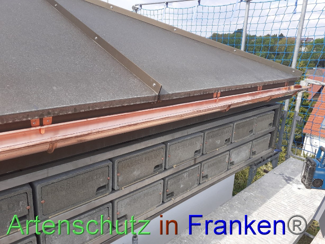 © Artenschutz in Franken® Bild zum Eintrag (1074072-160)