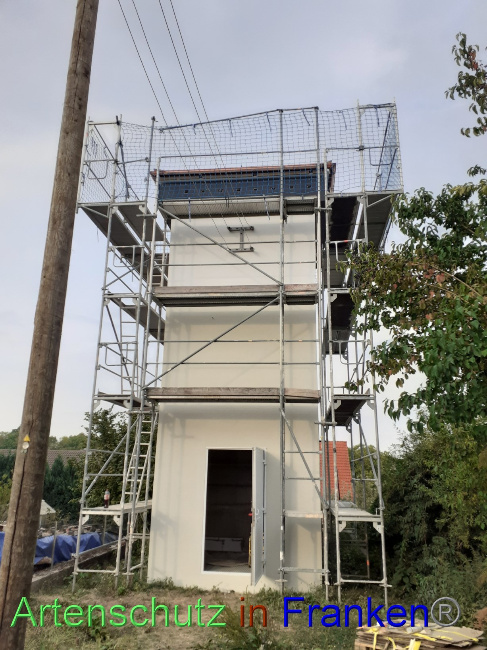© Artenschutz in Franken® Bild zum Eintrag (1074092-160)