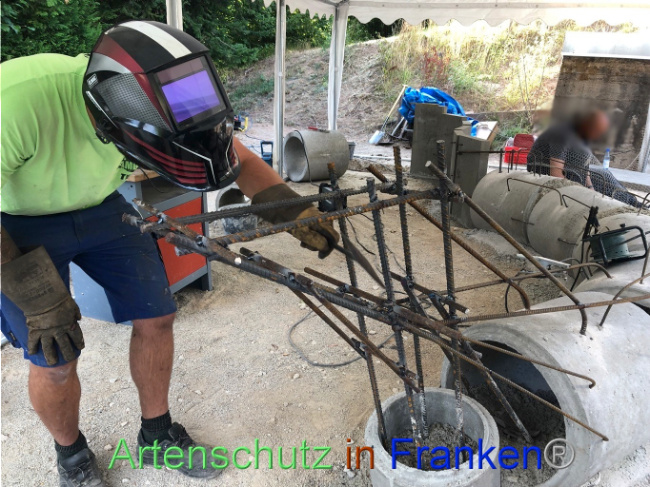 Bild zum Eintrag (1074108-160)