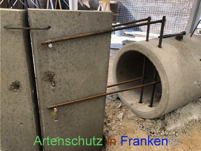 Bild zum Eintrag (1074109-160)