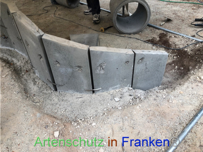 © Artenschutz in Franken® Bild zum Eintrag (1074111-160)